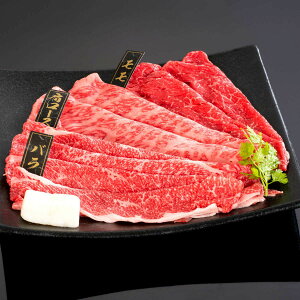 yzyIBa؋zIBa؋ Ă (2`3lO) | a̎R F IB    Mtg v[g  p