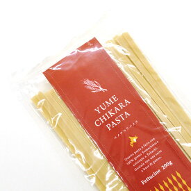 楽天市場 乾麺 フェットチーネ ロングパスタ パスタ 麺類 食品の通販