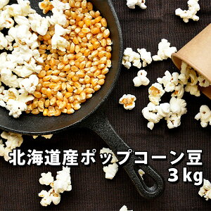 とうもろこし フライの人気商品 通販 価格比較 価格 Com