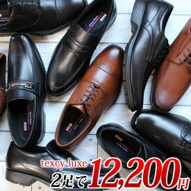 【エントリーでポイント5倍⇒11/11(火)1:59迄】 11種類から選べるテクシーリュクス2足セット12200円 texcy luxe メンズ ビジネスシューズ 本革 幅広 3E 軽量【送料無料（一部地域を除く）】※この商品は2足セット12200円の商品です。1足だけの購入は不可。
