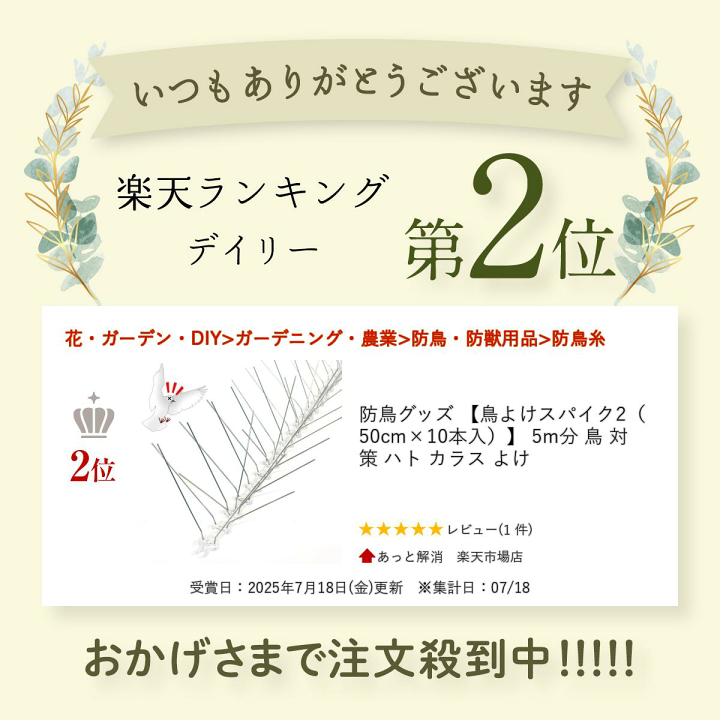 防鳥グッズ 【鳥よけスパイク2（50cm×10本入）】 5m分　✖️2 楽天市場】防鳥グッズ 【鳥よけスパイク2（50cm×10本入）】 5m分