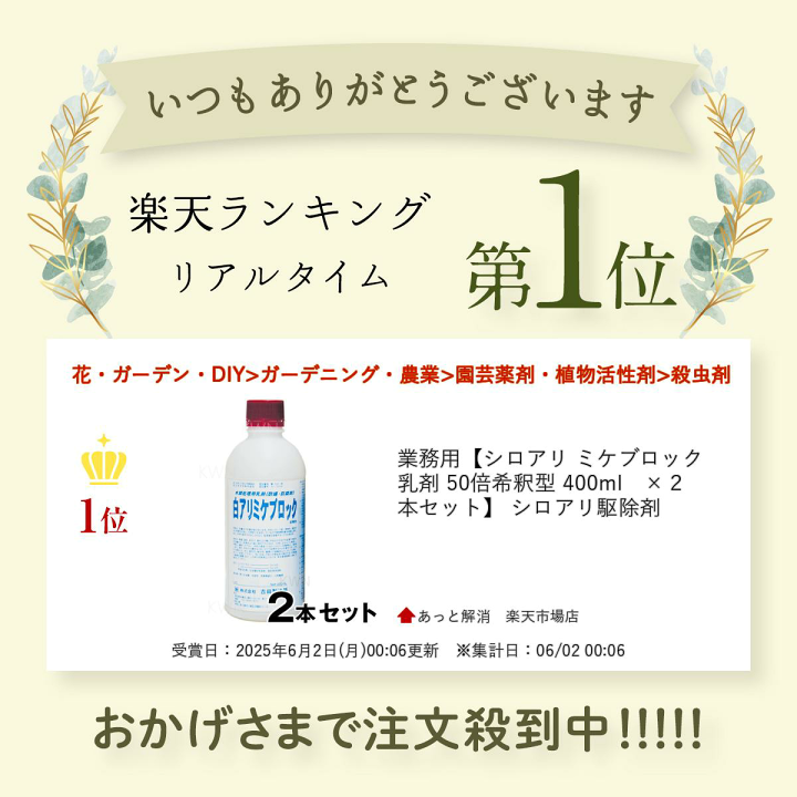 楽天市場】業務用【シロアリ ミケブロック 乳剤 50倍希釈型
