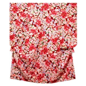  ԐFn Ԗ͗l т₩ȋʉH n͗l ˁ`\ lbg ܎O 