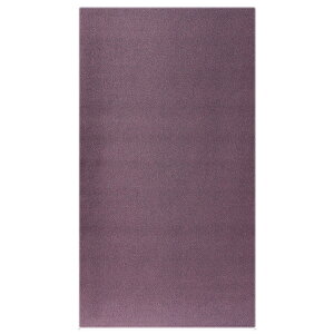 L lF ߂񐶒ngp   ]ˏ