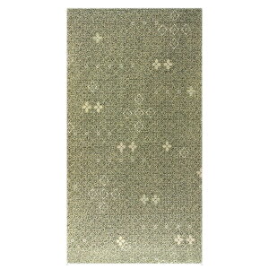 y󂠂z ʌ^  IV Oタ߂񐶒ngp   