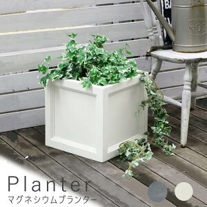 }OlVEv^[ 36cm^Cv  Jo[ v^[ Jo[ K[fjO  KԒd  k i` AJ  x  i` Vv k 