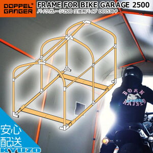 DOPPELGANGER hbyMK[ oCNK[W2500 ppCv TCNJo[ ]Ԃ̋㑠 Ă񂵂̂イ