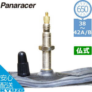 panaracer pi[T[ 0TW650-F-NP M[`[u W/O 650*38-42 A/B iW/O 26*1 1/2j  ^C`[u ]ԃ`[u ]Ԃ̋㑠