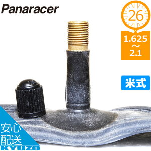 panaracer pi[T[ 0TH26-A-NP 26C` M[`[u ^C`[u ]ԃ`[u Ď AJ ou ]Ԃ̋㑠