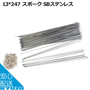 100~N[|L X|[N #13 X|[N SBXeX 72{ 26C`p 27C`p zC[ ]ԗp X|[N ߃LO  ʔ ]Ԃ̋㑠