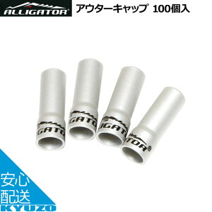 AE^[Lbv 100ALLIGATOR AQ[^[ LY-HPA09 A~ 100 ]ԃR|[lgAE^[P[uVtgP[uu[LP[uC[Lbv ]Ԃ̋㑠