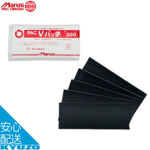 }jH A[X Vpb` #300 E-101 pNC ]ԗp ]Ԃ̋㑠 [֑