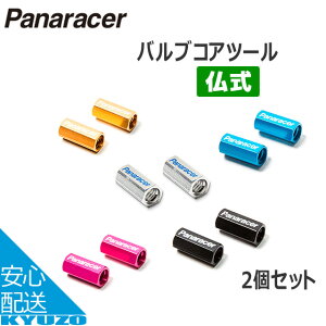 pi\jbN |eNmW[ Panaracer pi[T[ VCT-2ouRAc[ ouLbv ] C SLbv  t`ou ^C`[u ]Ԃ̋㑠 [֑