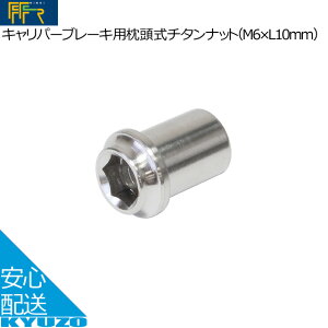 FF-R Lp[u[Lp`^ibg M6×L10mm ]Ԃ̋㑠 [֑