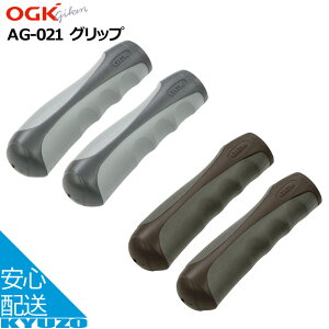 OGKZ AG-021 Obv OEO pObv 2{ZbgiyAj ObvVtgԂɂ͎gps ʎ]Ԃ}EeoCNANXoCN ]Ԃ̋㑠