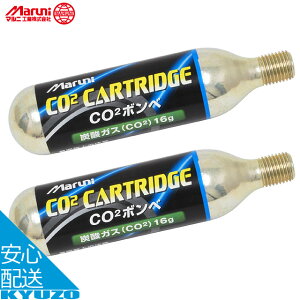 }jH CO2{x K-611 |vECt[^[ ]ԗp C ]Ԃ̋㑠