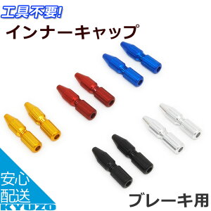 ALLIGATOR AQ[^[ LY-IPA06 XN[Ci[Lbv u[Lp 2 u[LC[ ]Ԃ̋㑠 [֑