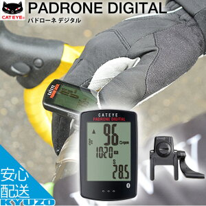 SS100~N[| CATEYE LbgAC CC-PA400B PADRONE DIGITAL ph[l TCNRs[^[ TCR CX PCfX ]Ԃ̋㑠