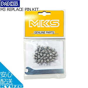 100~N[|L MKS O쏊 M3 REPLACE PIN KIT y_ ]ԃy_ ]Ԃ̋㑠 [֑