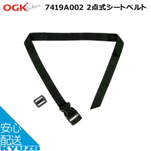 OGKZ 7419A002 2_V[gxg ubN q悹IvV C p `ChV[g FBC-015DX ]Ԃ̋㑠 [֑