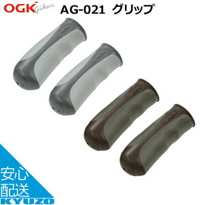 100~N[|L OGKZ Obv n[t / n[t AG-021 /ubN ] Obv ]Ԃ̋㑠