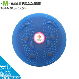 �c�C�X�^�[ �}���V���Y�� NST-6310