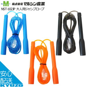 Vv[v ꒵ ѓ lp }VY NST-102JP