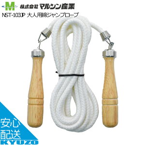 Vv[v  ꒵ ѓ lp }VY NST-103JP