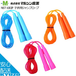 Vv[v ꒵ ѓ qp }VY NST-100JP