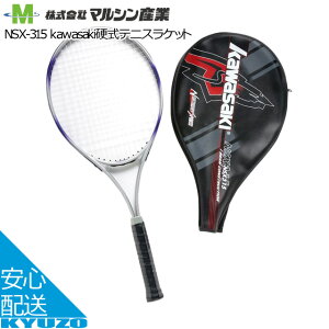 kawasaki dejXPbg JTL }VY NSX-315