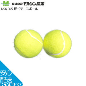 100~N[|L dejX{[ }VY NSX-045