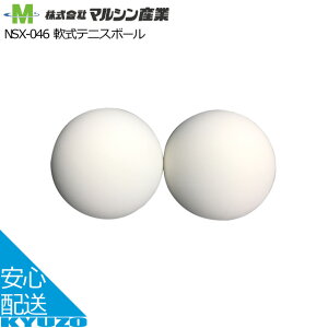 ejX{[ }VY NSX-046