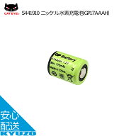 キャットアイ ライト 電池 バッテリー ニッケル水素充電池 CATEYE 5441910 メール便送料無料