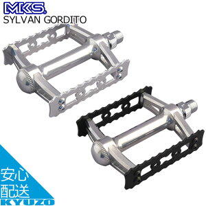 SYLVAN GORDITO ] y_ tbgy_ SfB[h A~ O쏊 MKS