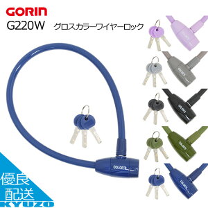 100~N[|L OXJ[C[bN ]  JM bN fBvL[ h ΍ ~joCN ܗ֍H GORIN G220W XN[^[ dAVXg] d] NXoC