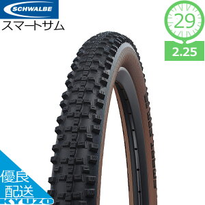 100~N[|L X}[gT Smart Sam uYXL C[r[h 29C` 29×2.25 57-622 I[e[ SCHWALBE Vx ] ^C It[h H Xg[g I[h 1{