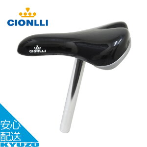 CTBTh ] Th q] WjATCN LbYTCN Gi  q j̎q ̎q CIONLLI V[ 6520 h ubN  eiX