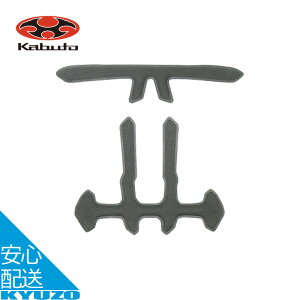 100~N[|L AERO-R2 m[}Ci[pbhZbg C p AERO-R2TR AERO-R2 ] wbg OGK KABUTO Jug [֑