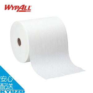 CvI[ W{[ X70 tAX^hʔ eiX vdl Ɩp y[p[^I WYPALL CvI[ 60233 hC EGbg   ĝ  sDz 870Jbg