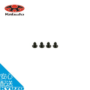 ] wbg bNsZbg 4 CERBI STEAIR-X STEAIR Ladies REGAS REGAS-2 K C  OGK KABUTO Jug [֑