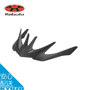 ] wbg C  i REZZAoCU[ REZZA-2 OGK KABUTO Jug