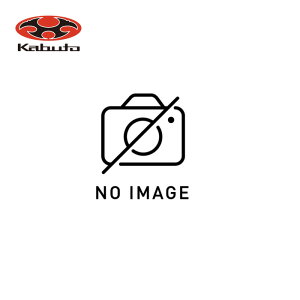 ] TOX 101-SR-WR-ML XyAY  CgsN K 101PH 101 OGK KABUTO Jug 101-SR-WR-ML