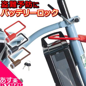 電動アシスト自転車 バッテリーロック キー式 バッテリー専用ロック 自転車 鍵 カギ 盗難防止 バッテリー 電動自転車 盗難 コンパクト 73773 73772 73771 ブラック ブラウン レッド 最短翌日お届け メール便送料無料