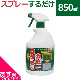 トーヤク カビ コケ取り コケ取り スプレー コケそうじ コケ落とし コケ 除去 コケ取り剤 コケとり 苔取り カビ取り カビ掃除 お墓 墓石 玄関 タイル 屋上 お庭 ガーデニング 屋外用 長期持続 日本製 自転車の九蔵 最短翌日お届け