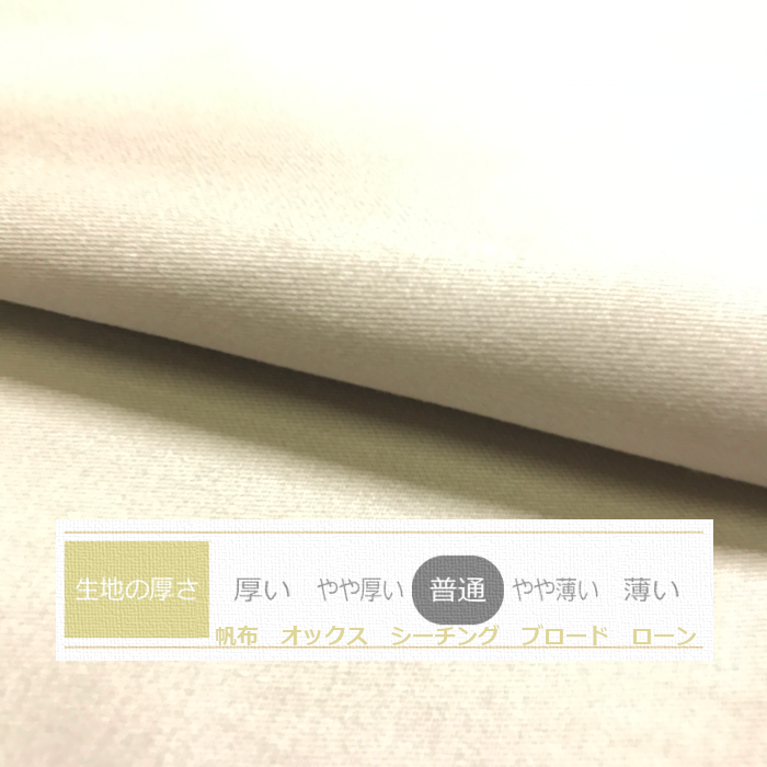 送料無料　日本製　Lサイズ枕カバー[ワン　グレイジュ]無地額縁ピローケース50×70cm　月間優良ショップ受賞