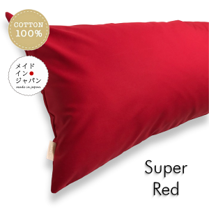  { S25F DTCY Jo[[X[p[bh]/s[P[X/43×120cm/n Vv