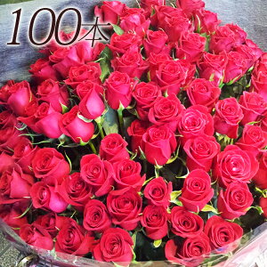 バラ 花束100本の通販 価格比較 価格 Com