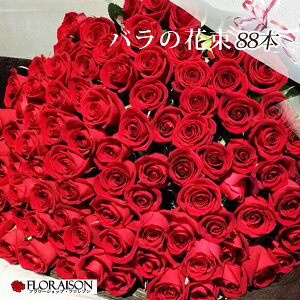 y ԃo 88{ ԑ oԑ z  KNԑ Ď̂j Ď   ΂   