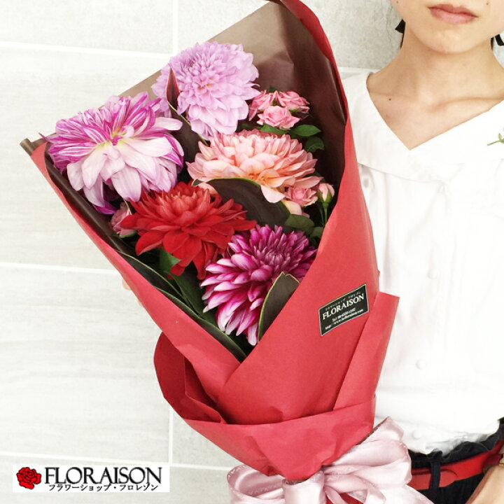 楽天市場 11 Offクーポン有 8 1 冷蔵便でお届け やっぱり ダリアはステキ ダリア ロング花束 誕生日 花 ダリア花束 ブーケ ギフト 誕生日 結婚記念日 ピアノ発表会 クリスマス 送料無料 プレゼント 花 雑貨フロレゾン