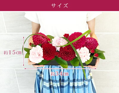 楽天市場 クール便発送 ダリア スクエアアレンジメント 誕生日 結婚記念日 敬老の日 プレゼント 女性 バラ 薔薇 華やか おしゃれ フラワーアレンジメント 花 送料無料 そのまま飾れる 花 アレンジメント 花 ギフト 花 雑貨フロレゾン 楽天市場 クール便発送 ダリア スクエアアレンジメント 誕生日 結婚記念日 敬老の日 プレゼント 女性 バラ 薔薇 華やか おしゃれ フラワーアレンジメント 花 送料無料 そのまま飾れる 花 アレンジメント 花 ギフト 花 雑貨フロレゾン